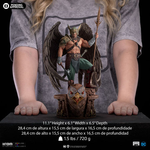 DC Comics Hawkman 10th Anniversary 1:10 Scale Statue