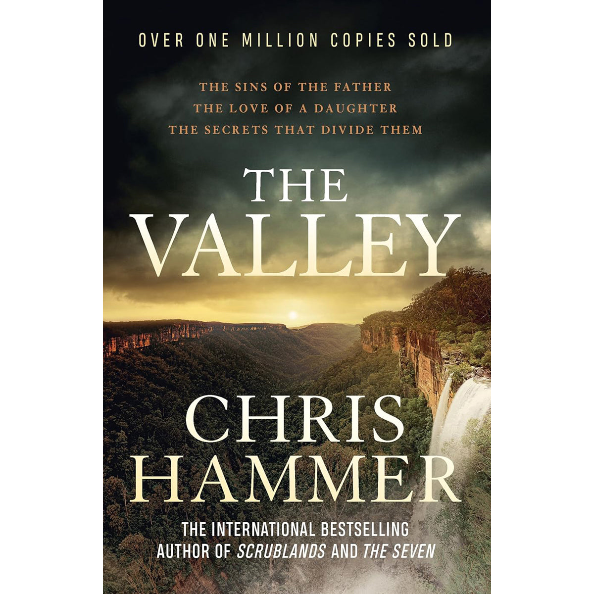 The Valley: Family Drama Novel