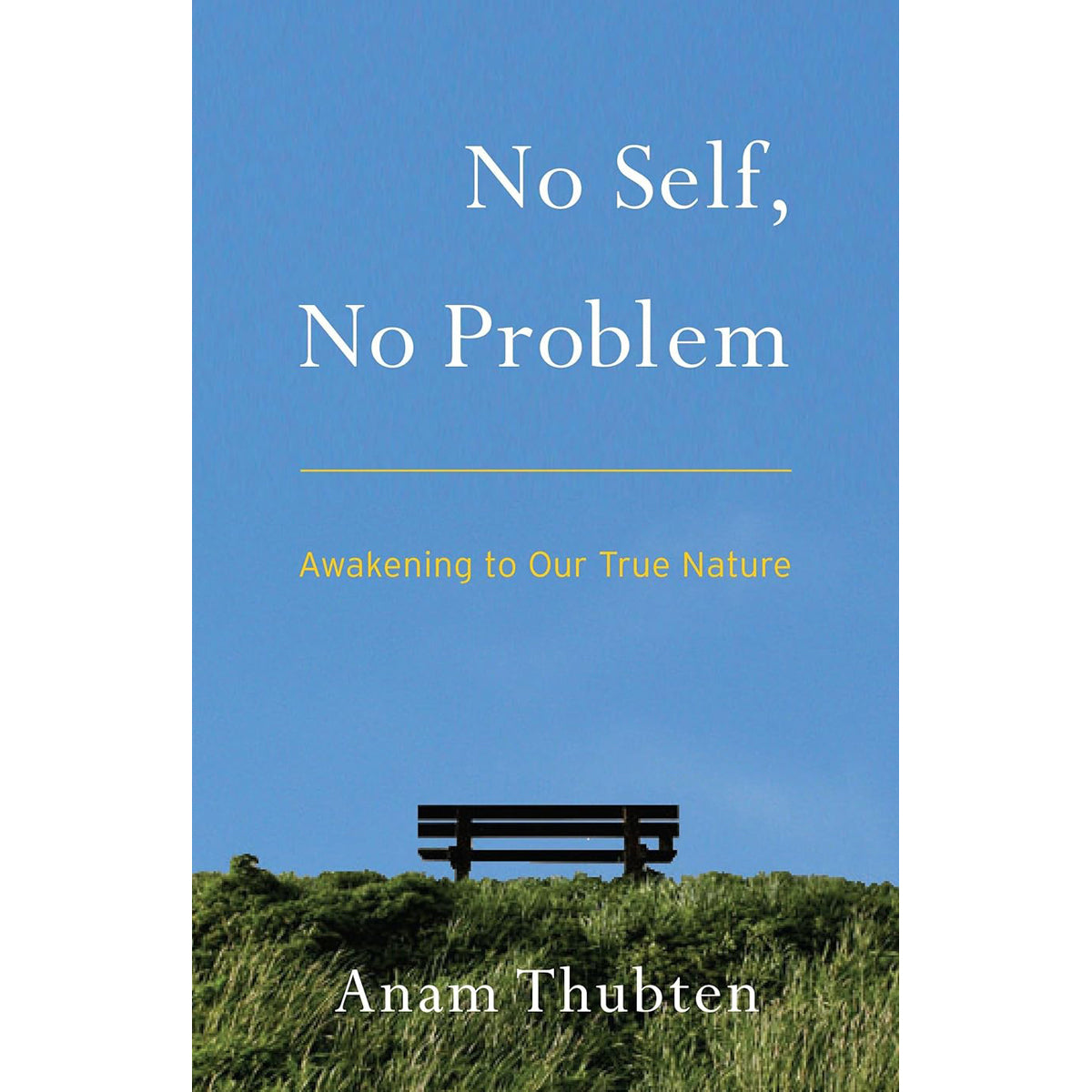 No Self No Problem: Buddhist Wisdom Guide