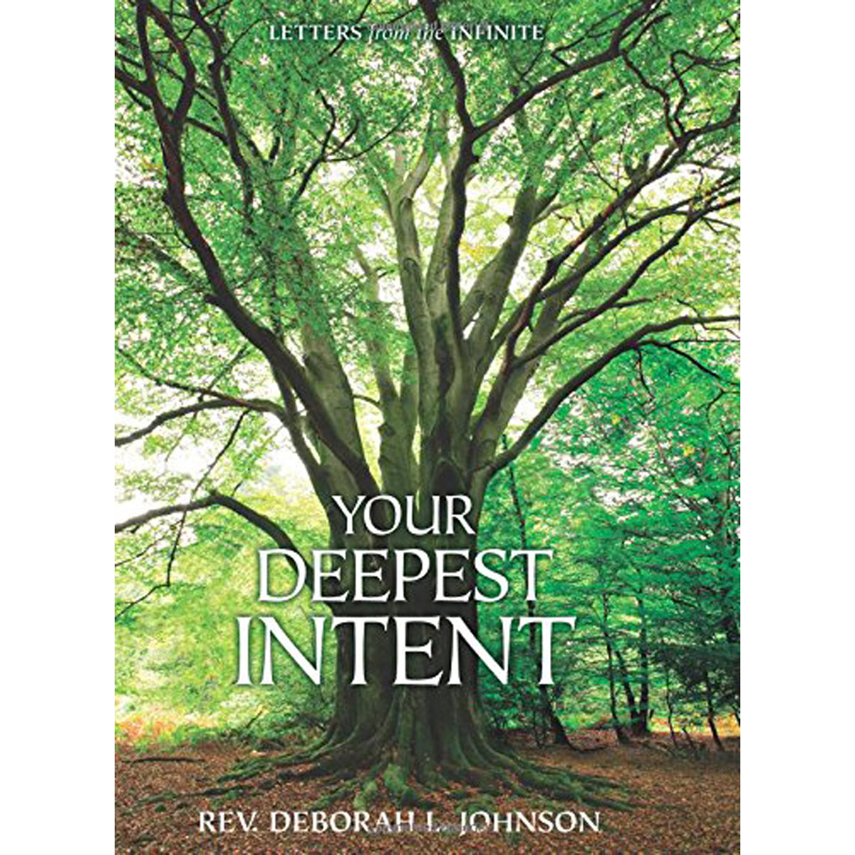 Your Deepest Intent: Letters From the Infinite