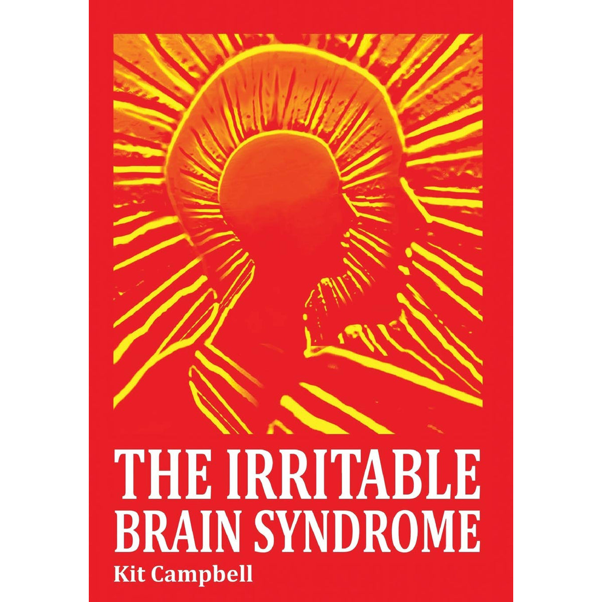 Irritable Brain Syndrome: Health and Mind Guide