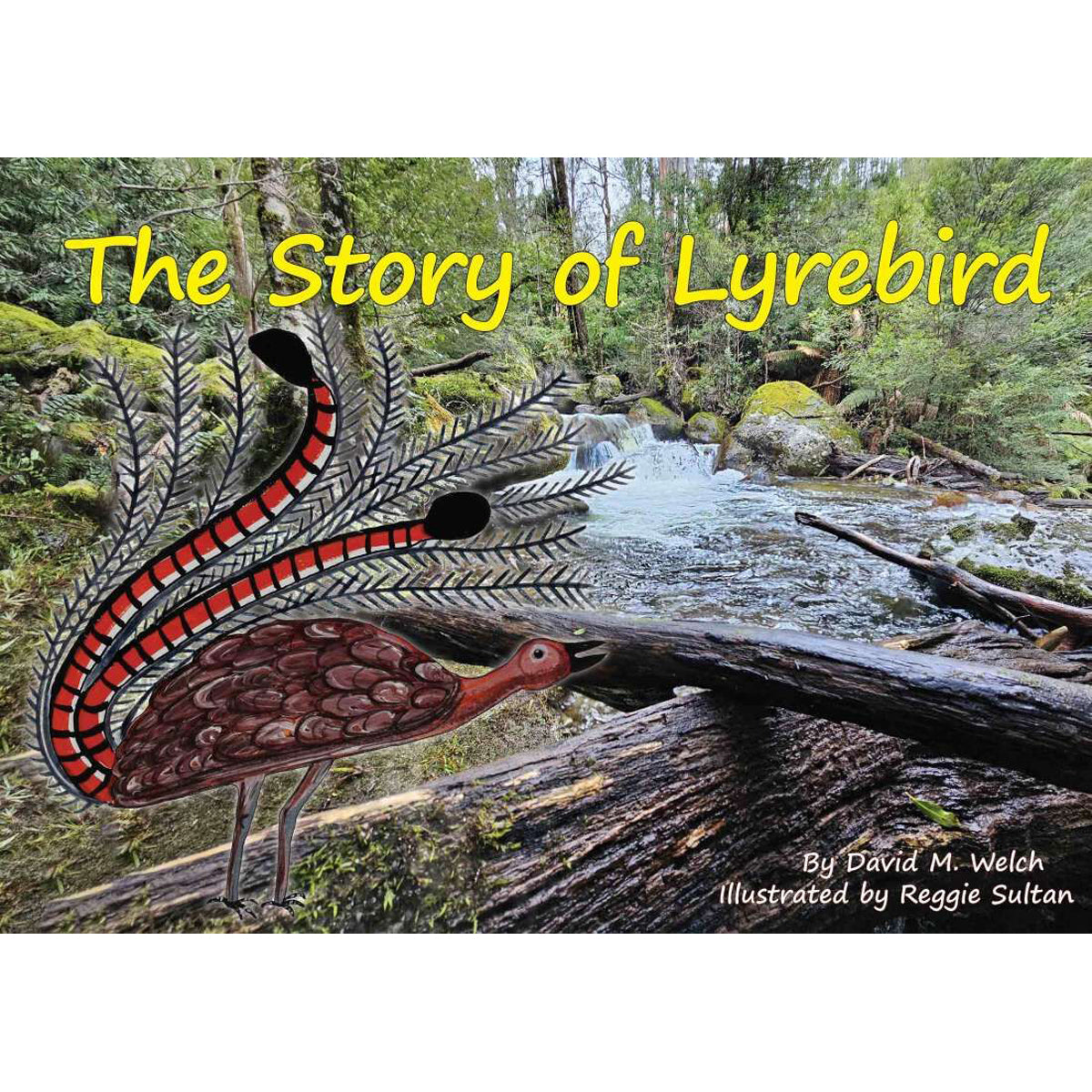 The Story of Lyrebird: Australian Picture Book