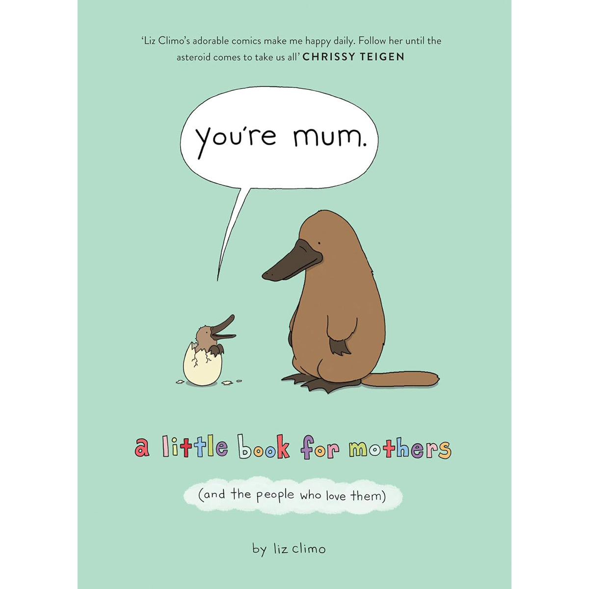 You're Mum: A Little Book For Mothers
