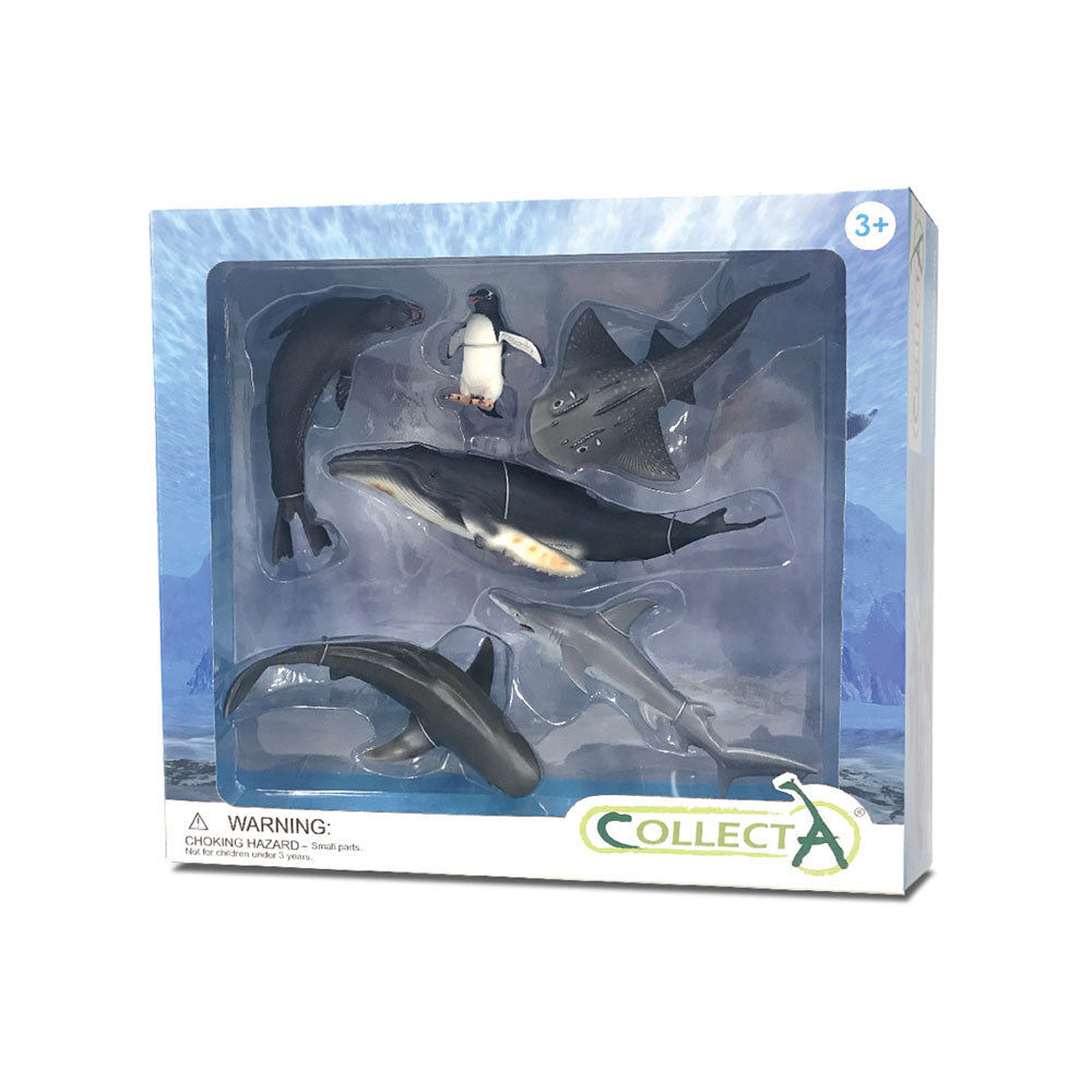 Collecta Sea Animal Figuresギフトセット(6パック)