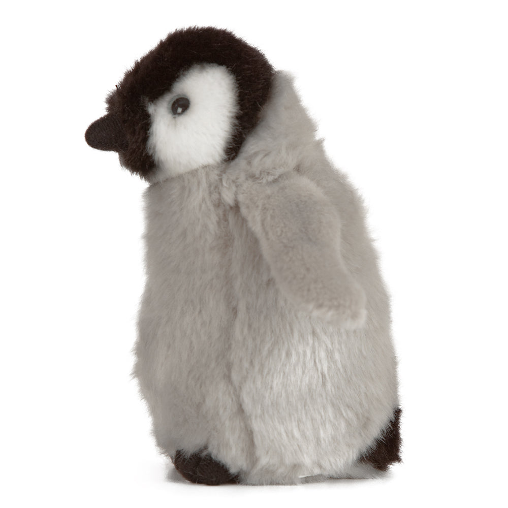 Living Nature Penguin Chick