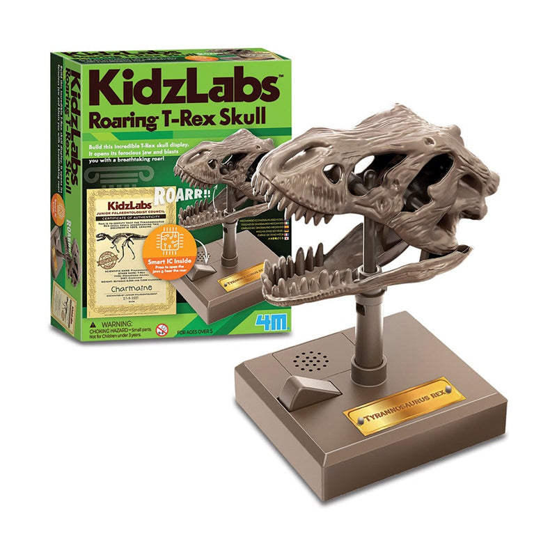 4M KidzLabs Roaring T-Rex Skull