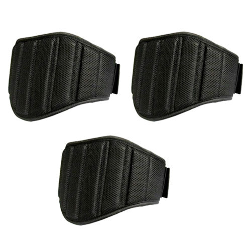 Morgan V2 Endurance Weight Belt